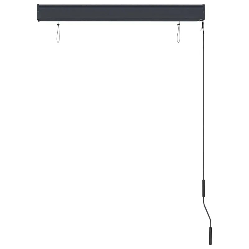 Lauko roletas, kreminės spalvos, 100x250cm