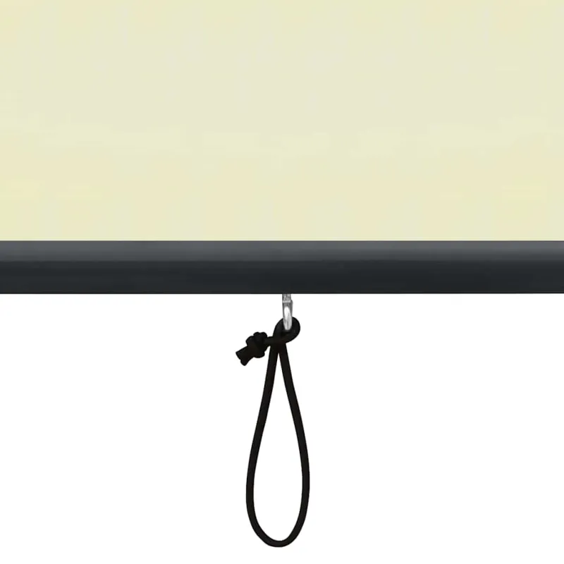 Lauko roletas, kreminės spalvos, 100x250cm