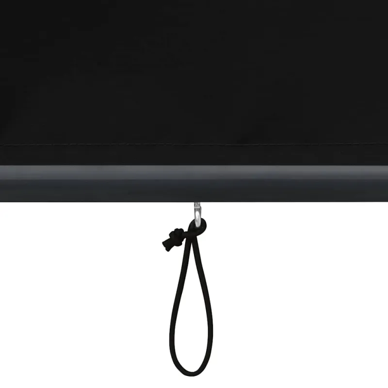Lauko roletas, 140x250 cm, antracito spalvos
