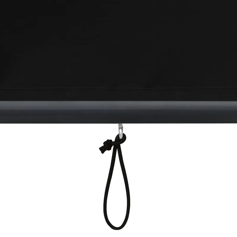 Lauko roletas, antracito spalvos, 160x250cm