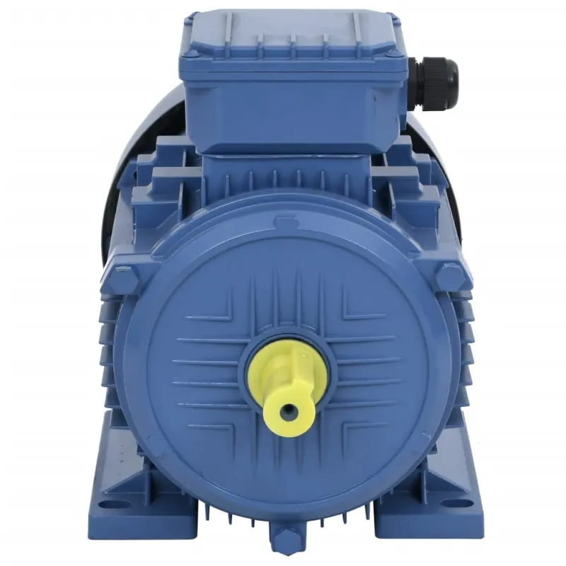 Trifazis elektros variklis, 3kW/4AG, 2 polių, 2840aps./min.