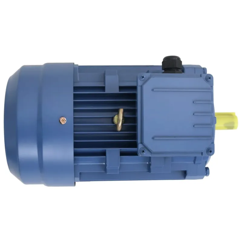 Trifazis elektros variklis, 3kW/4AG, 2 polių, 2840aps./min.