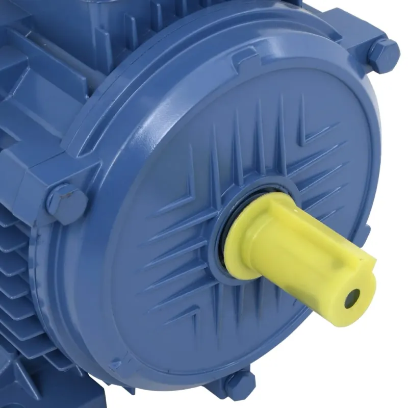 Trifazis elektros variklis, 3kW/4AG, 2 polių, 2840aps./min.