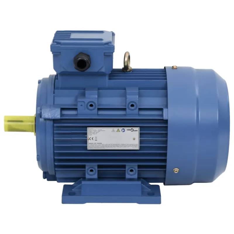 Trifazis elektros variklis, 4kW/5,5AG, 2 polių, 2840aps./min.