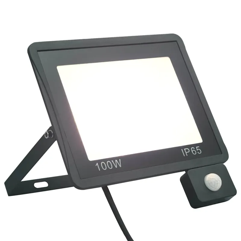 LED prožektorius su jutikliu, šaltos baltos spalvos, 100W