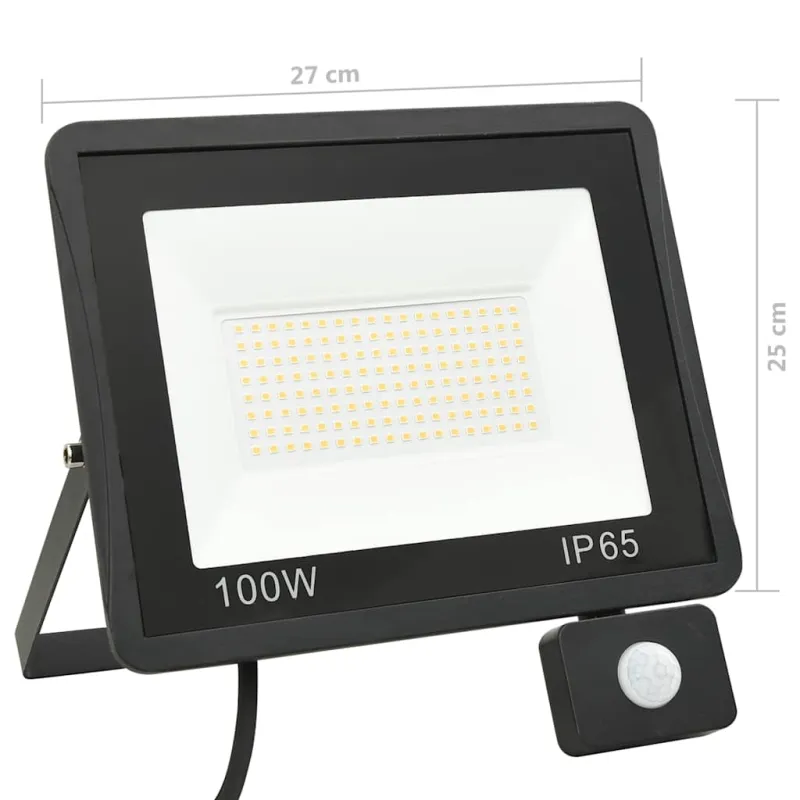 LED prožektorius su jutikliu, šaltos baltos spalvos, 100W