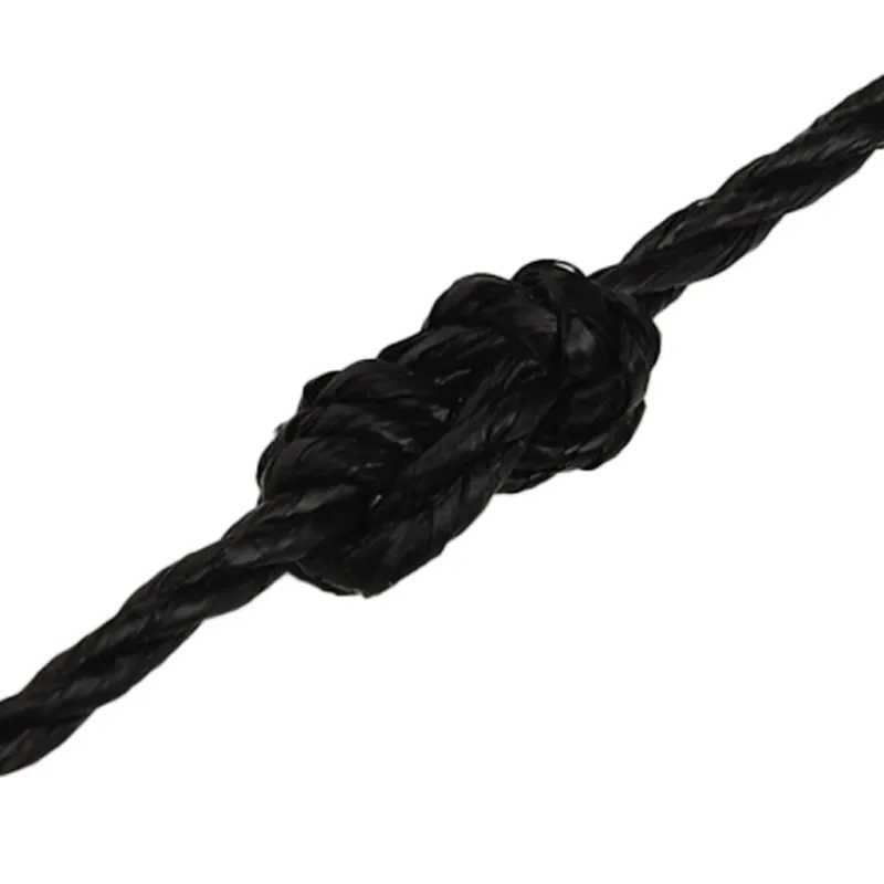 Darbo virvė, juodos spalvos, 3mm, 50m, polipropilenas