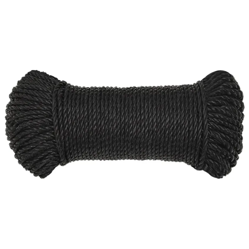 Darbo virvė, juodos spalvos, 3mm, 250m, polipropilenas