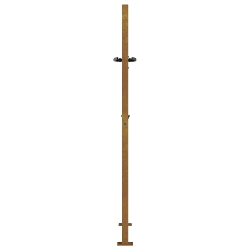 Sodo vartai, 100x150 cm, Corten plienas, medžio raštas