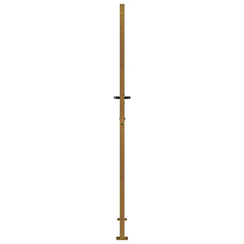 Sodo vartai, 100x175 cm, Corten plienas, medžio raštas