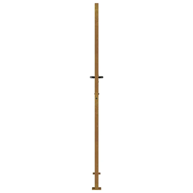 Sodo vartai, 100x200 cm, Corten plienas, žolės raštas