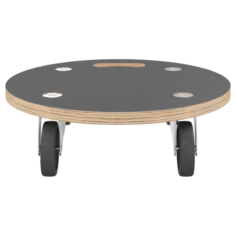 Transportavimo vežimėliai, 2vnt., 38x11,5cm, apskriti, 250kg