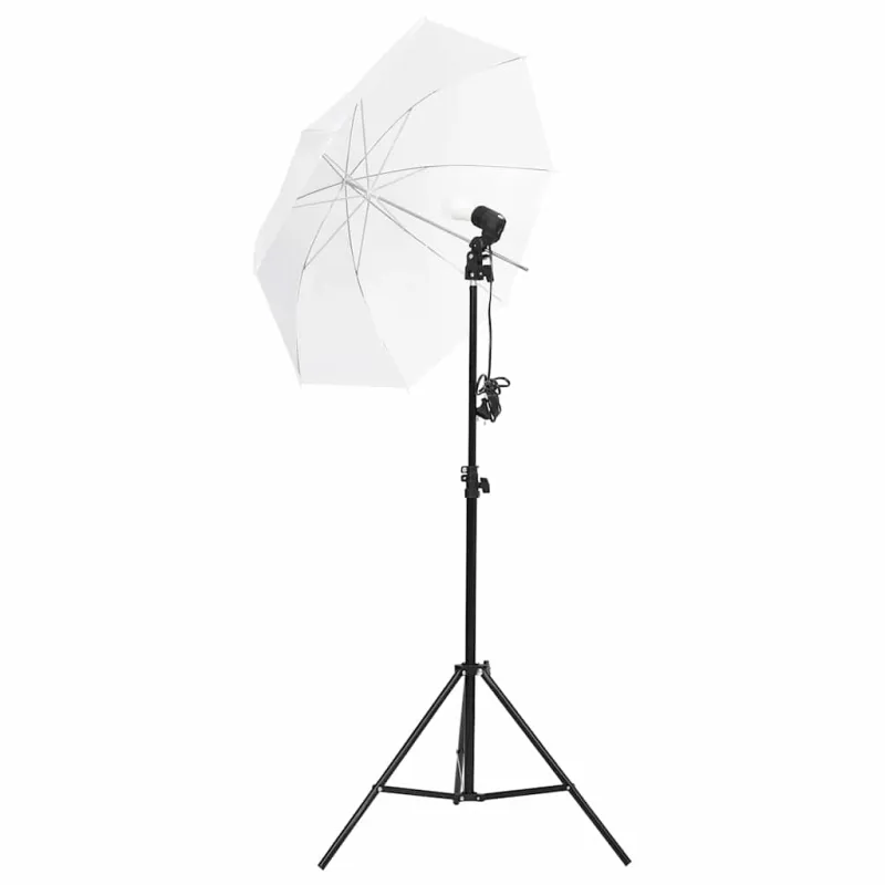 Fotostudijos rinkinys su apšvietimo rinkiniu ir fonu