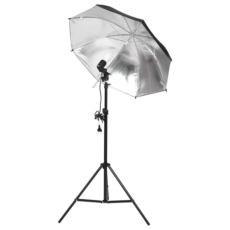Fotostudijos rinkinys su šviestuvais, fonu ir reflektoriumi
