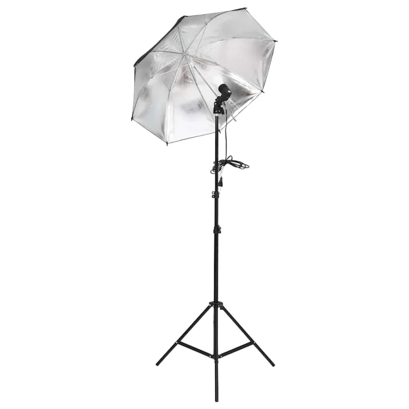 Fotostudijos rinkinys su šviestuvais, fonu ir reflektoriumi