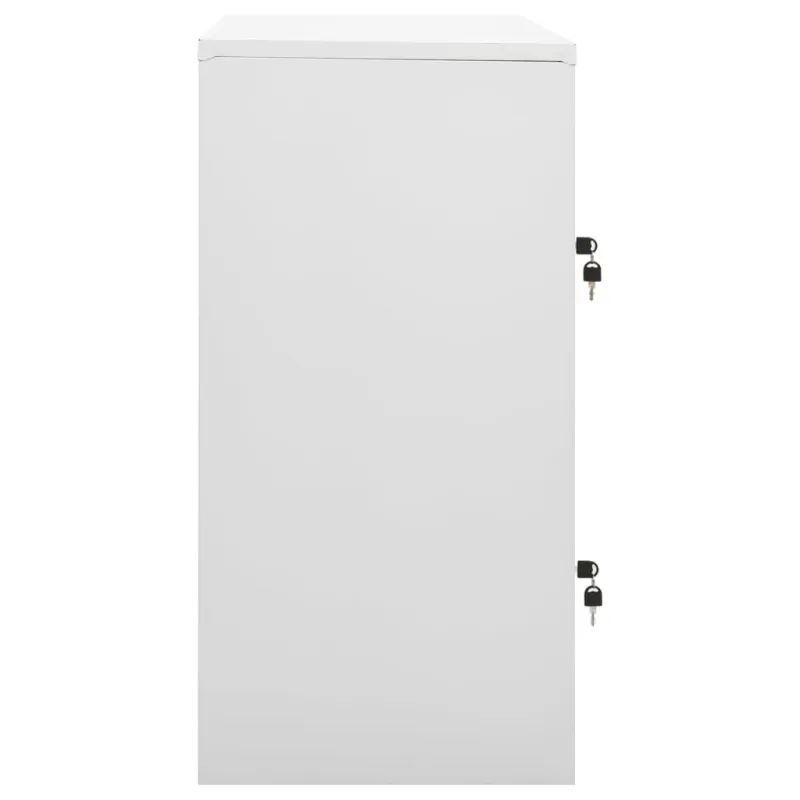 Spintelės, 2vnt., pilkos/mėlynos, 90x45x92,5cm, plienas