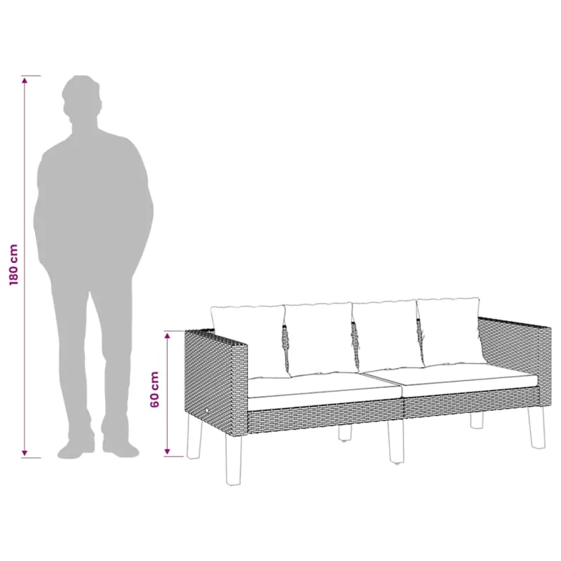 Dvivietė sodo sofa su pagalvėlėmis, juodos spalvos, poliratanas