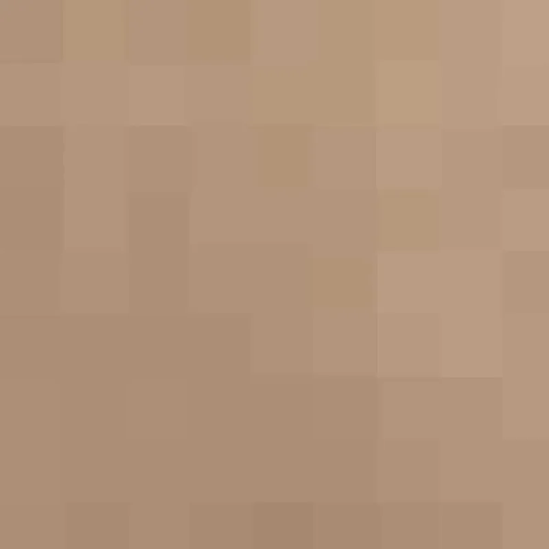 Uždanga nuo saulės, taupe spalvos, 4x4m, HDPE, 160g/m²