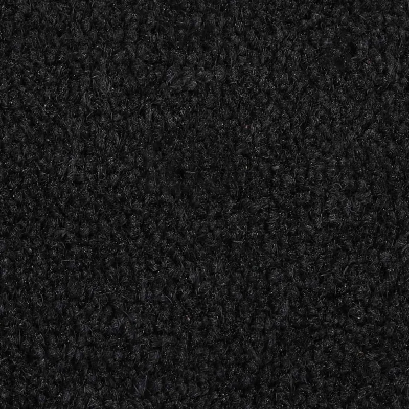 Durų kilimėlis, juodas, 65x100cm, kokoso pluoštas