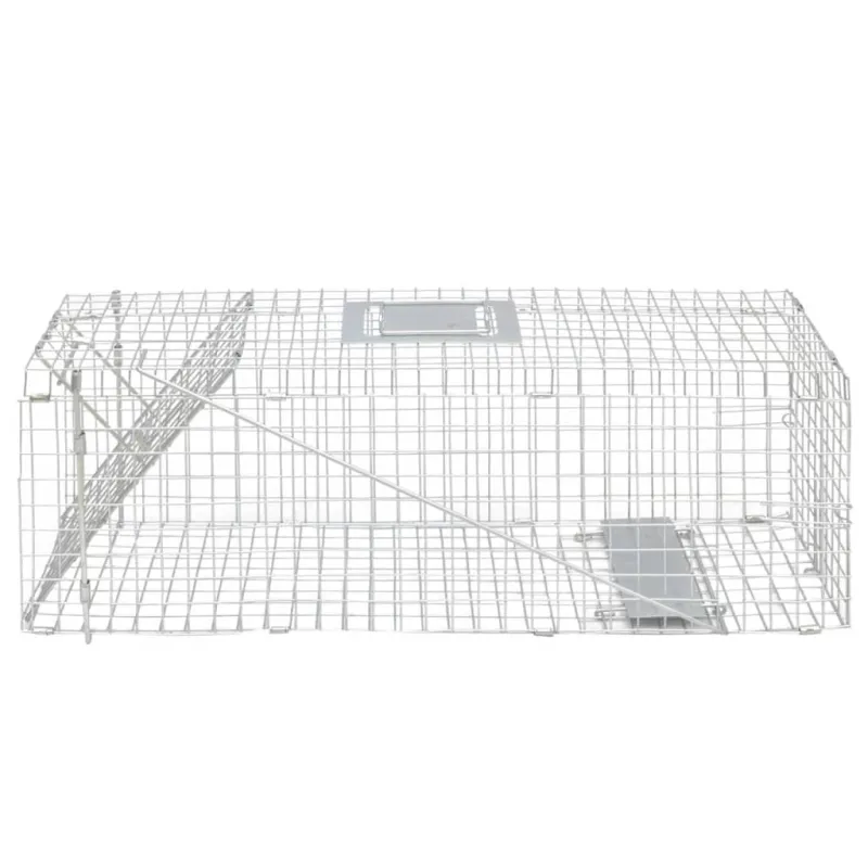 Cinkuota gyvų paukščių gaudyklė, 80 cm