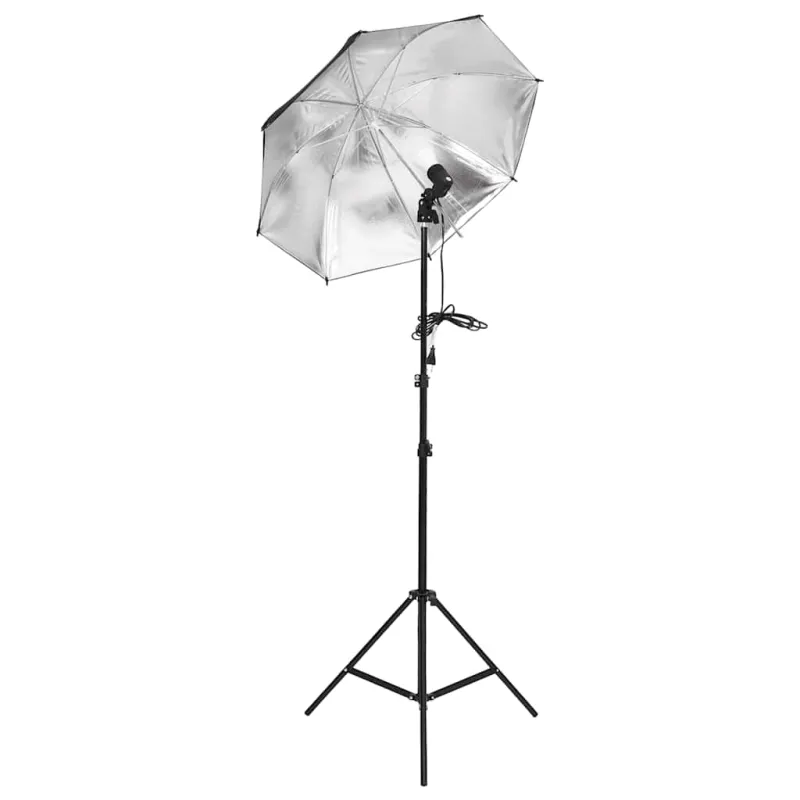 Fotostudijos apšvietimo rinkinys