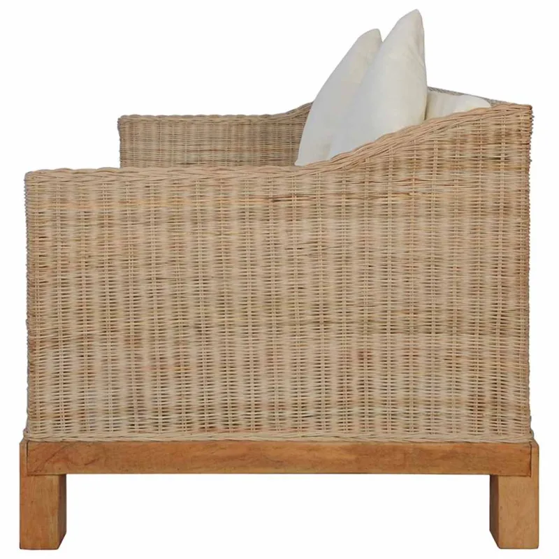 Dvivietė sofa su pagalvėlėmis, natūralus ratanas
