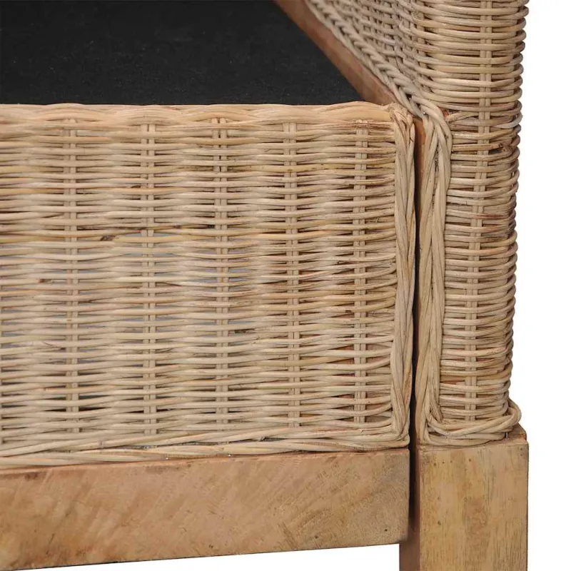 Dvivietė sofa su pagalvėlėmis, natūralus ratanas
