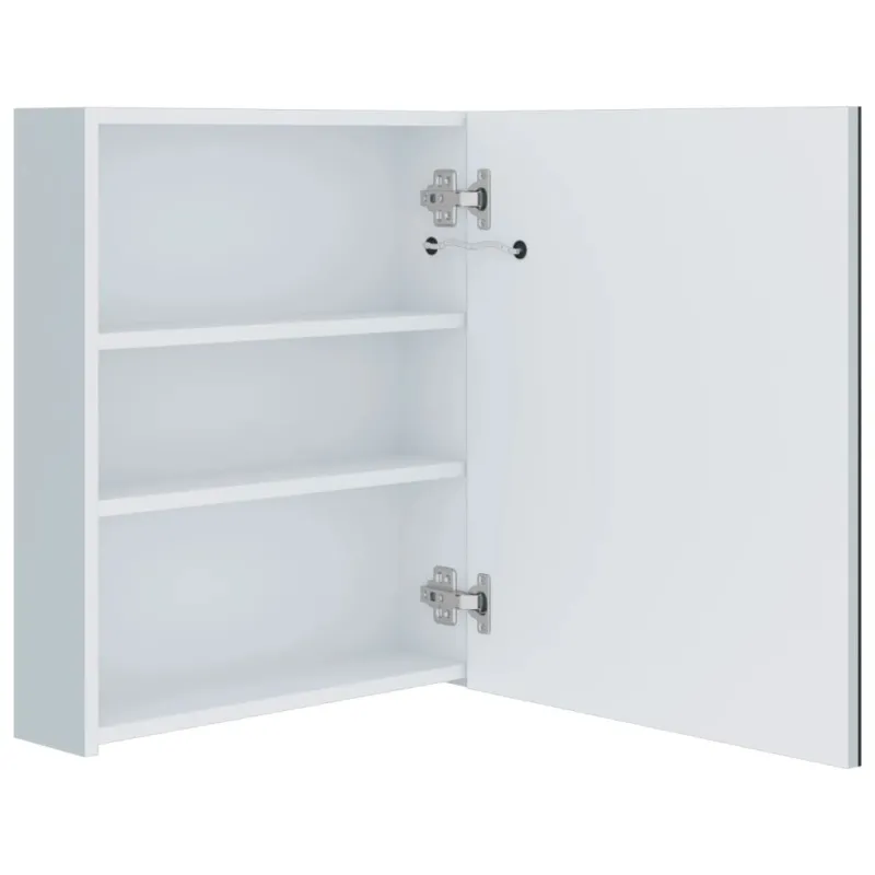Veidrodinė vonios spintelė su LED apšvietimu, 50x13,5x60 cm