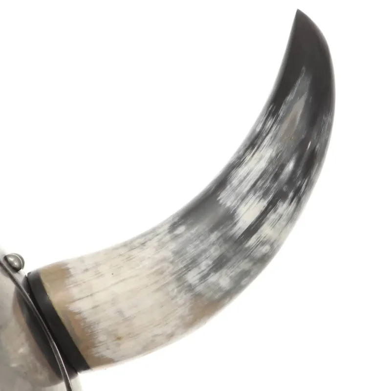 Vikingų šalmas, sidabrinis, plienas, fantastinis