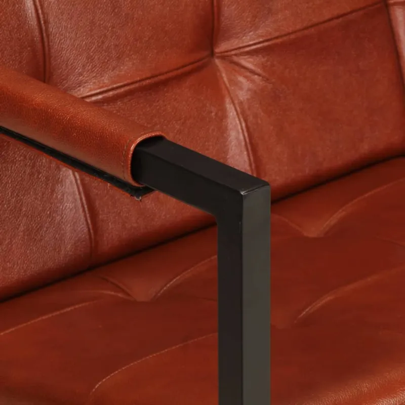 Dvivietė sofa, rudos spalvos, tikra ožkos oda