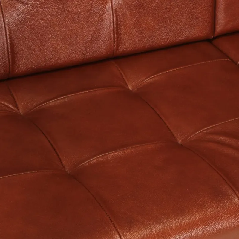 Dvivietė sofa, rudos spalvos, tikra ožkos oda