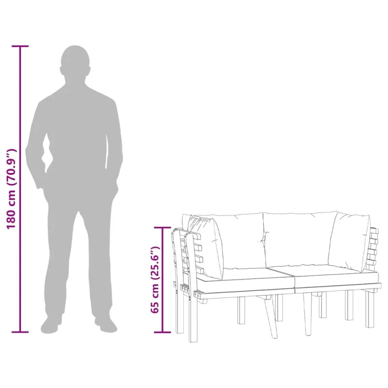 Dvivietė sodo sofa su pagalvėlėmis, akacijos medienos masyvas