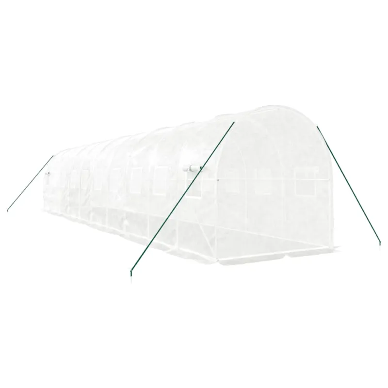 Šiltnamis su plieno rėmu, baltos spalvos, 10x2x2m, 20m²