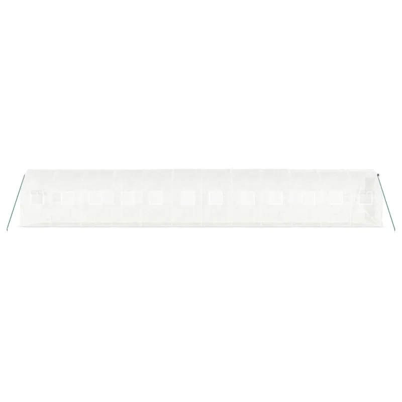 Šiltnamis su plieno rėmu, baltos spalvos, 12x2x2m, 24m²
