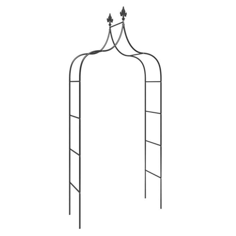 Sodo arkos, 2vnt., juodos spalvos, 120x38x260cm, plienas