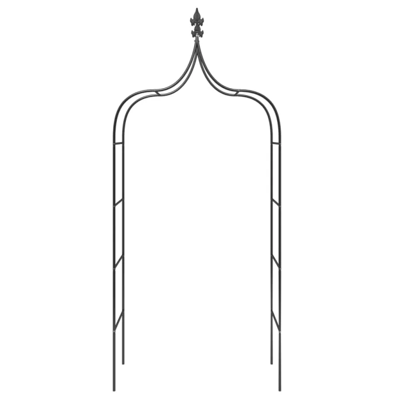 Sodo arkos, 2vnt., juodos spalvos, 120x38x260cm, plienas