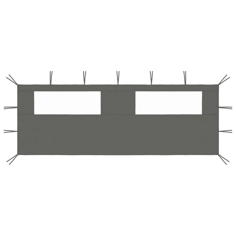 Šoninė pavėsinės siena su langais, antracito spalvos, 6x2m