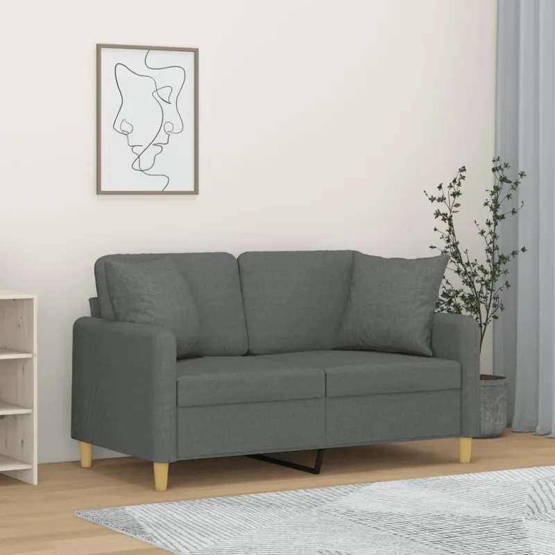 Dvivietė sofa su pagalvėlėmis, tamsiai pilka, 120cm, audinys