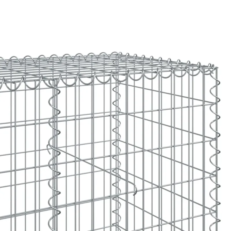 Gabiono krepšys su dangčiu, 300x100x100cm, galvanizuota geležis