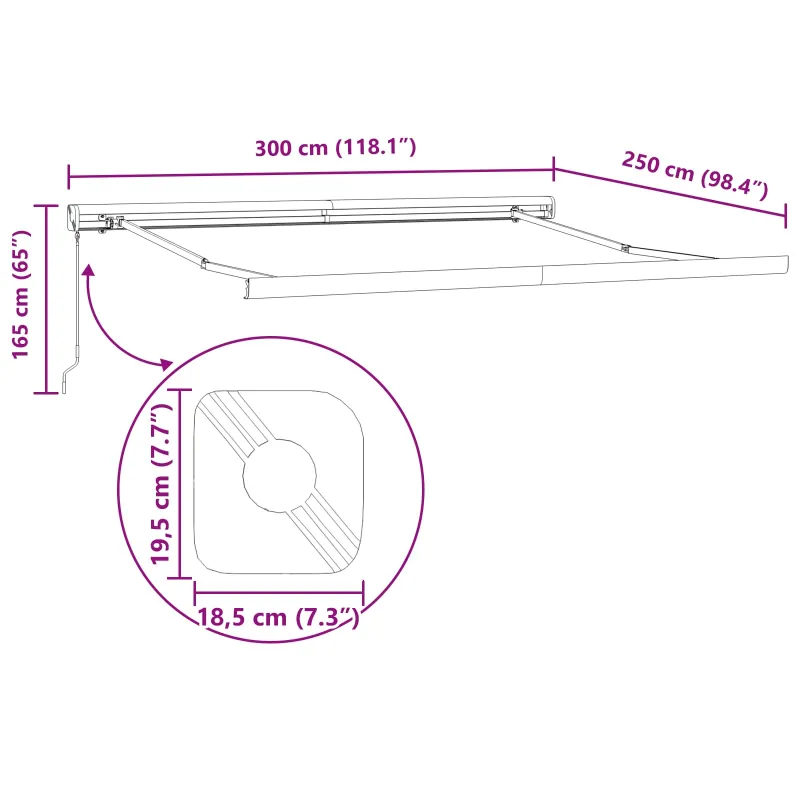 Ištraukiama markizė Juoda 300 x 250 cm Audinys ir metalas