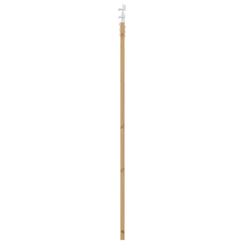 Slankios durys Natūrali 61 x 198,5 cm