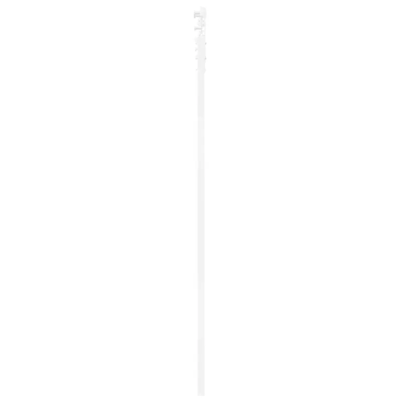 Slankios durys Balta 61 x 198,5 cm